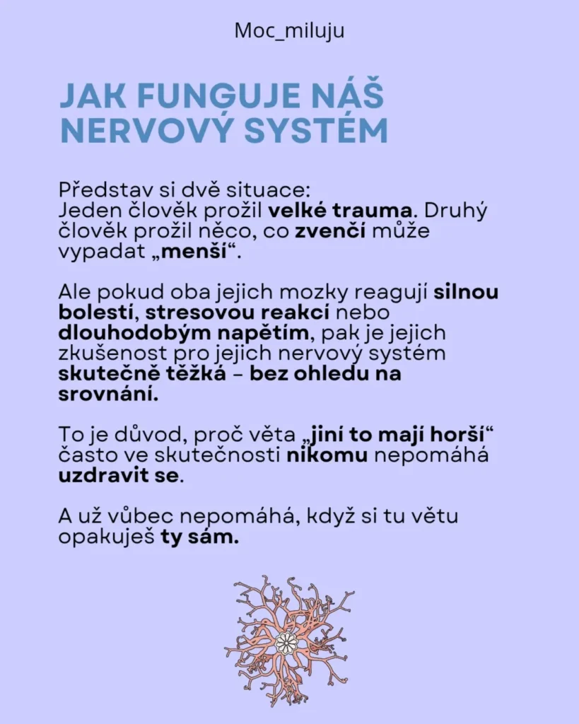 Slide 7