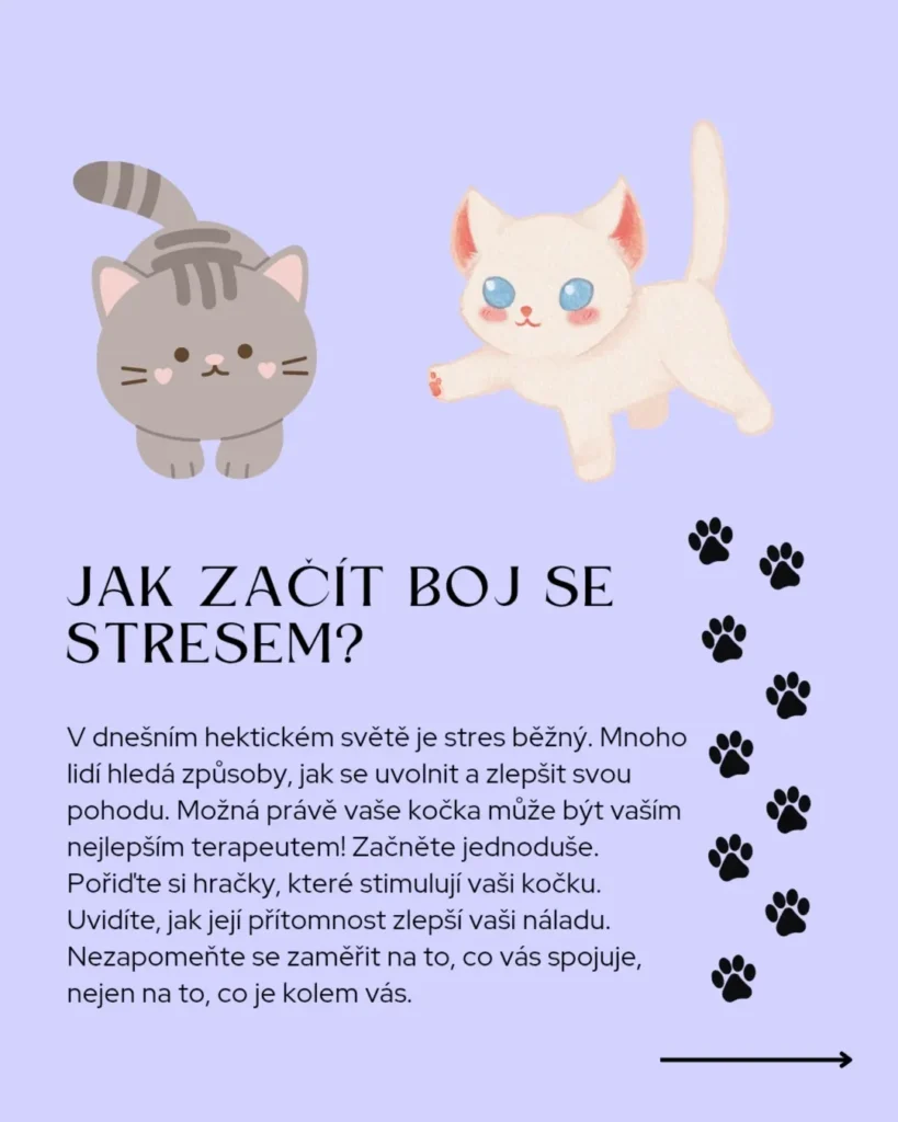 Slide 7