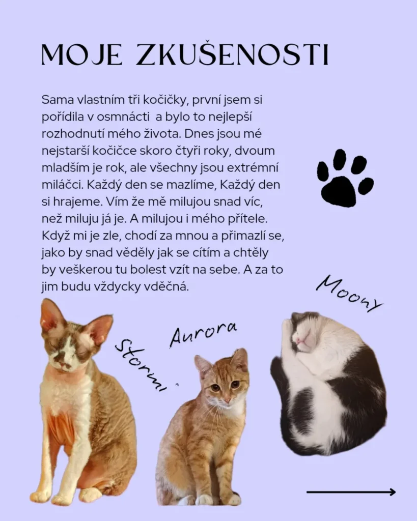 Slide 9