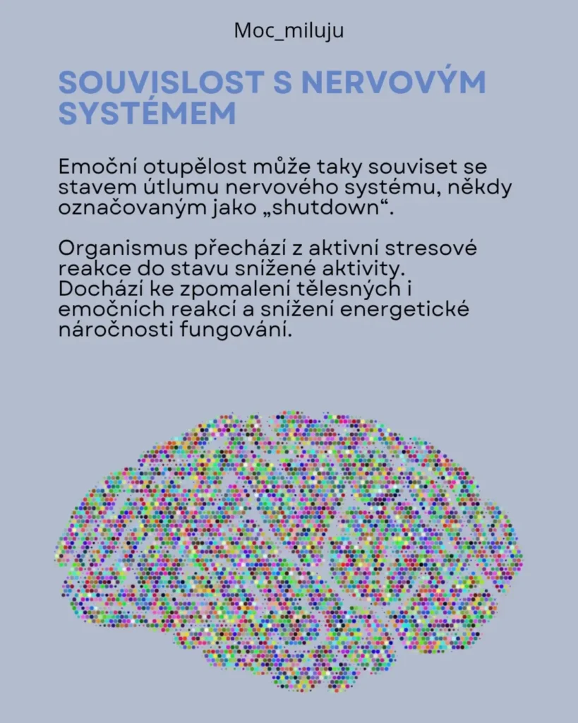 Slide 7