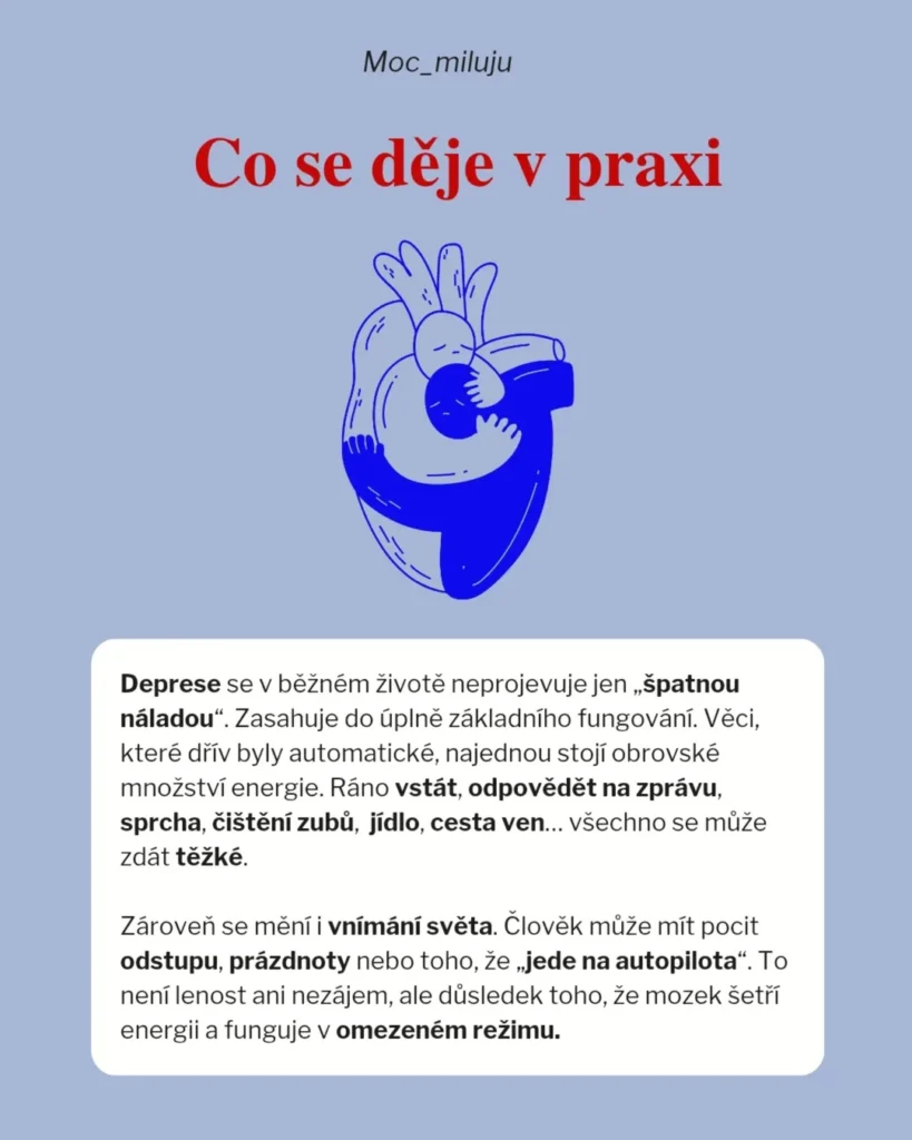 Slide 7