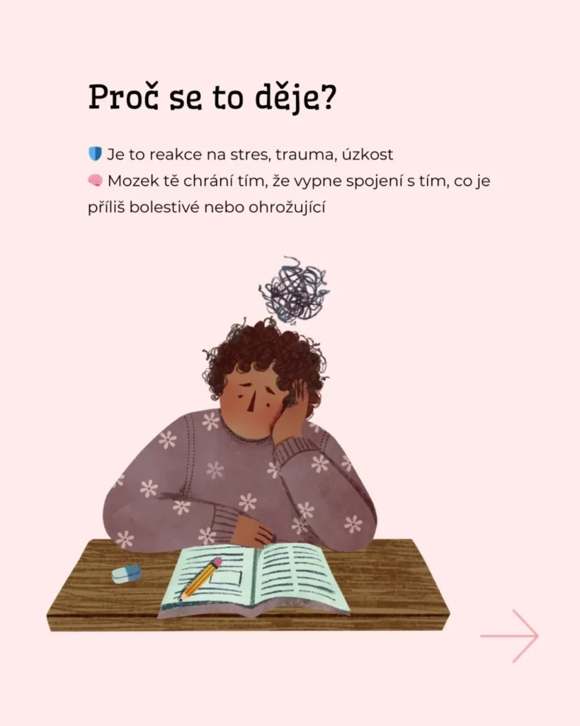 Slide 7