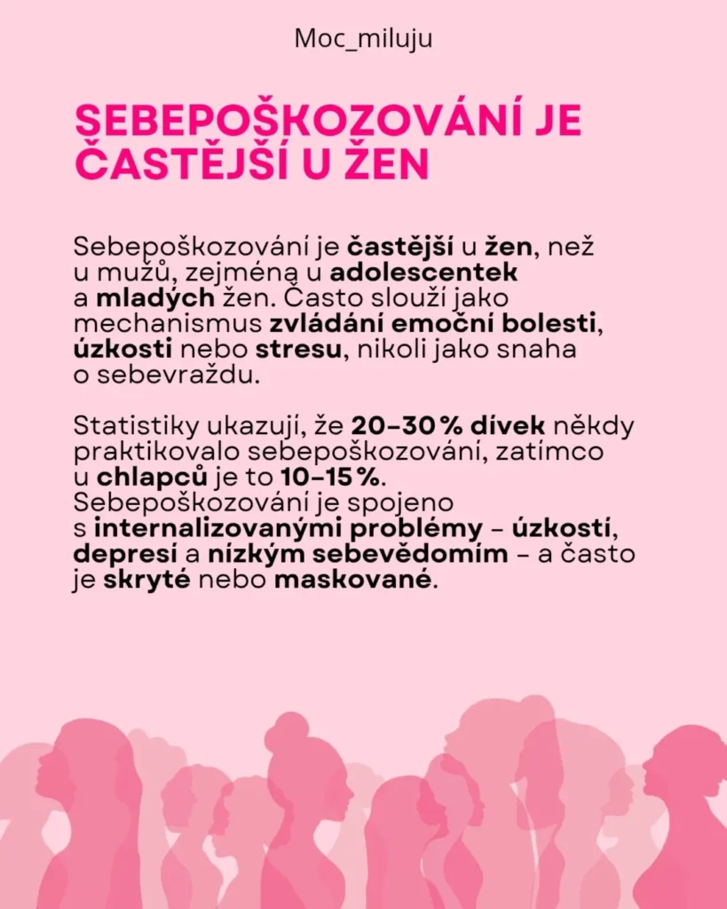 Slide 7