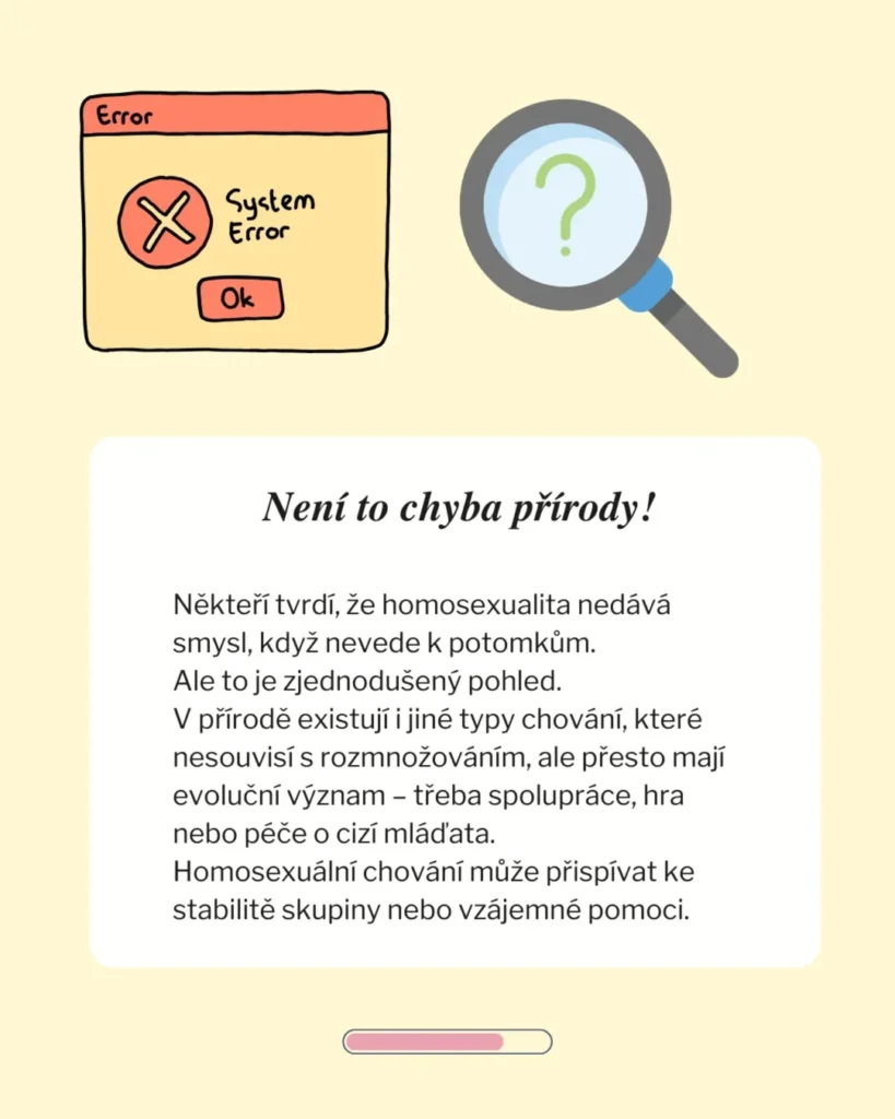 Slide 7