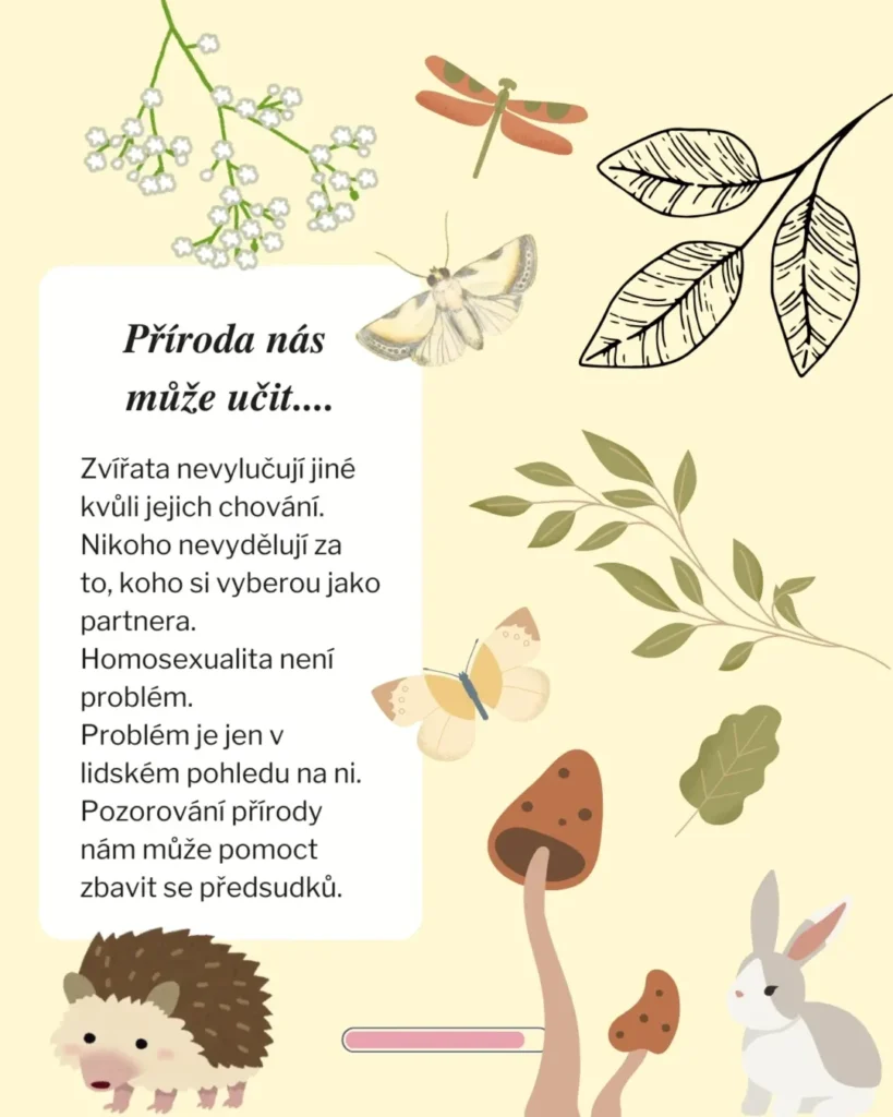 Slide 8