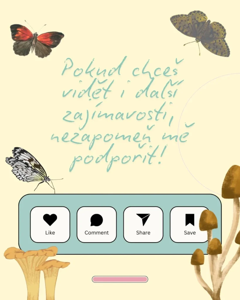 Slide 9