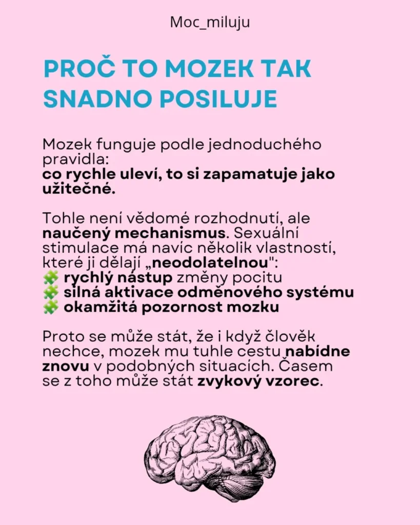 Slide 7