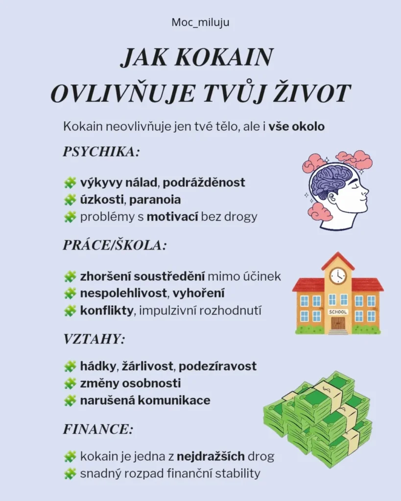 Slide 8