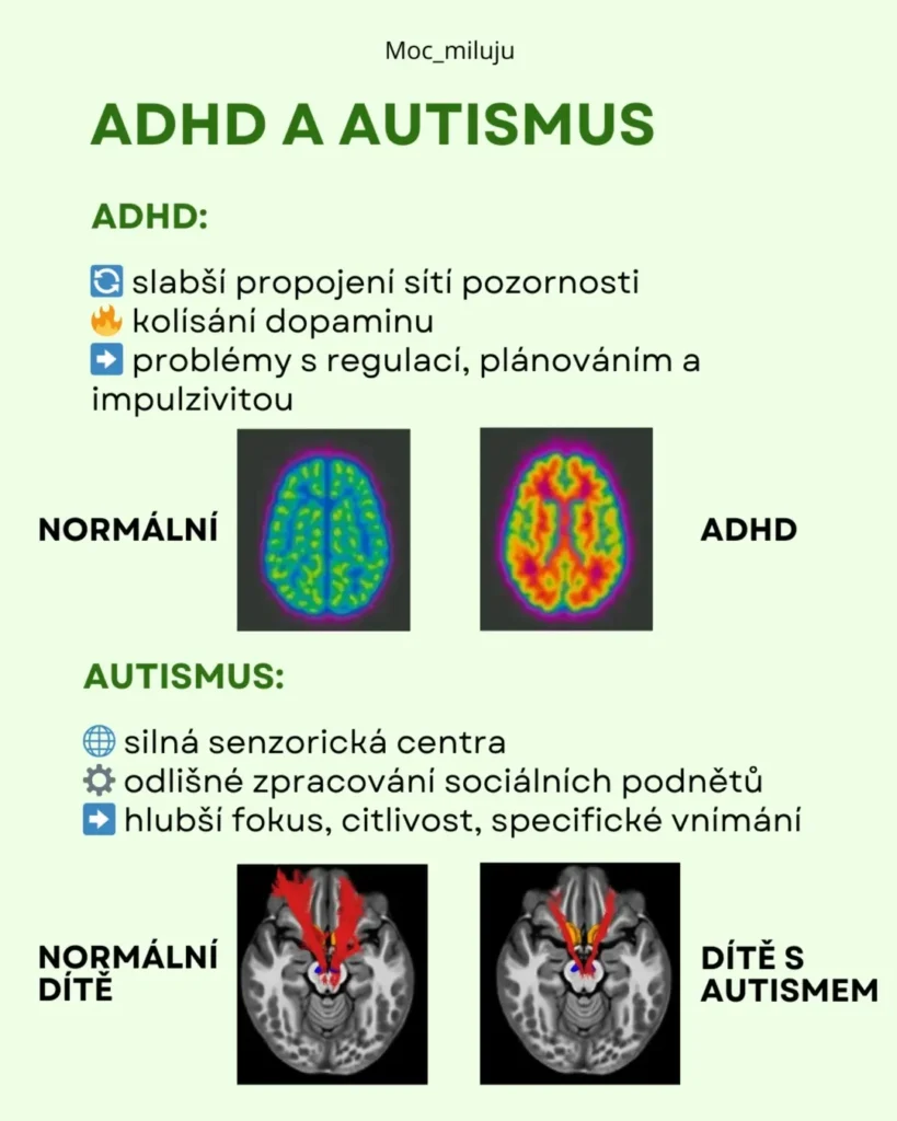 Slide 7