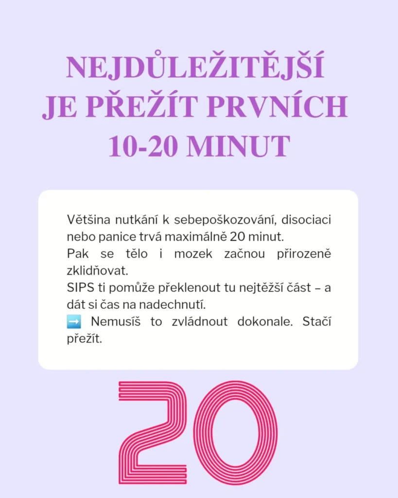 Slide 7