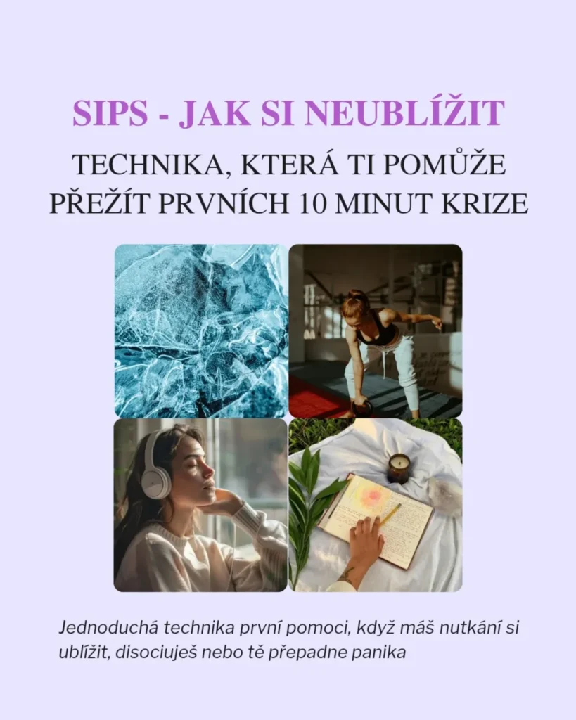 Náhled příspěvku Technika SIPS