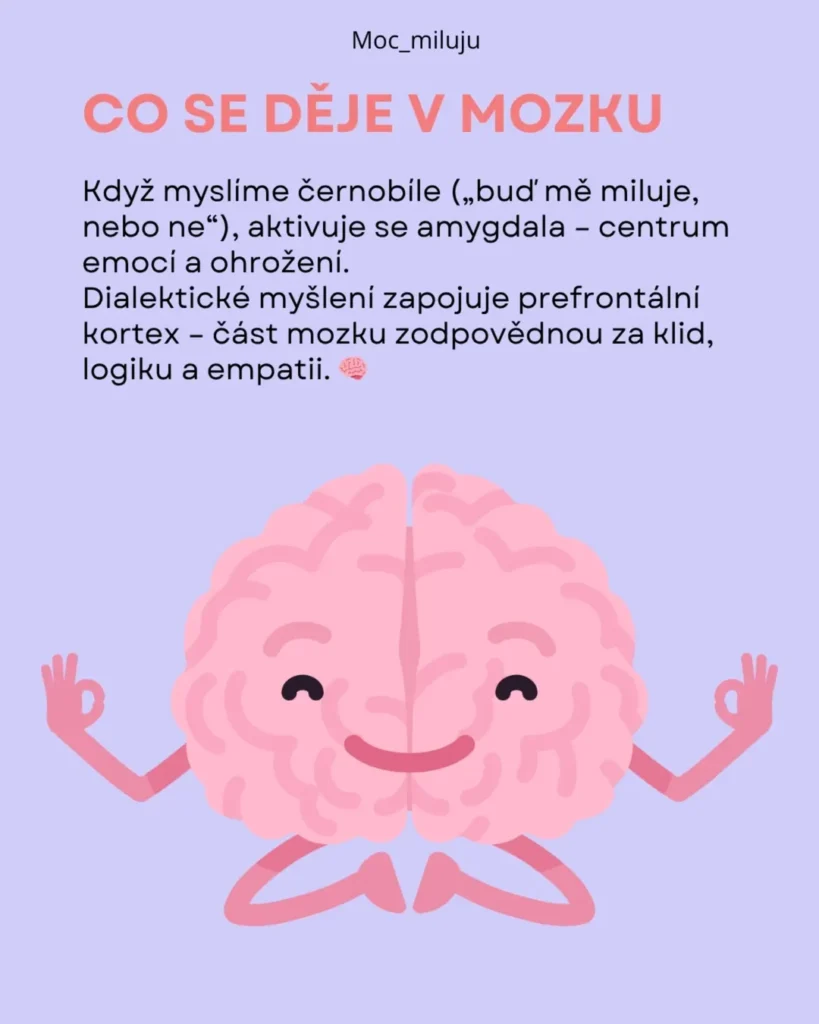 Slide 7