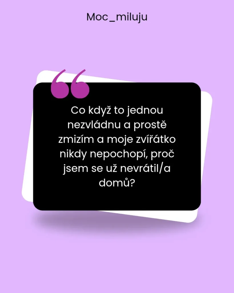 Slide 9