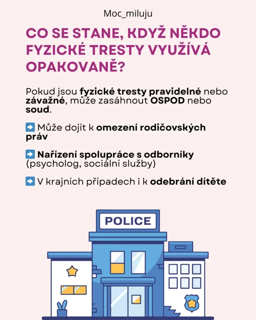 Slide 7