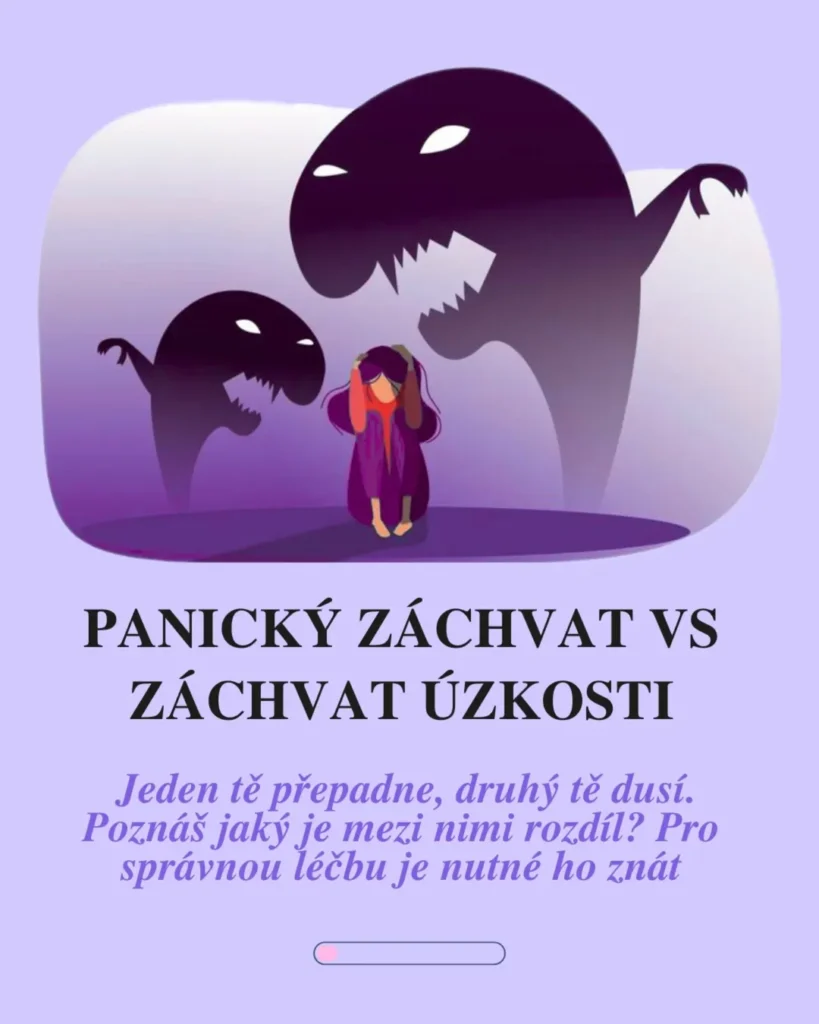 Náhled příspěvku Panický záchvat vs záchvat úzkosti