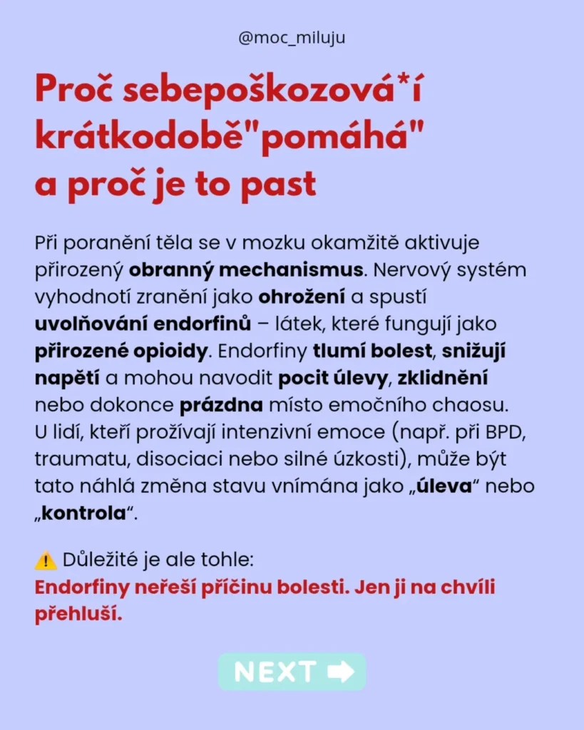 Náhled příspěvku Proč sebepoškozování “pomáhá” a proč je to past