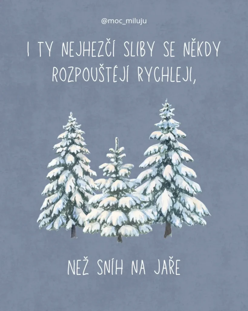 Slide 7