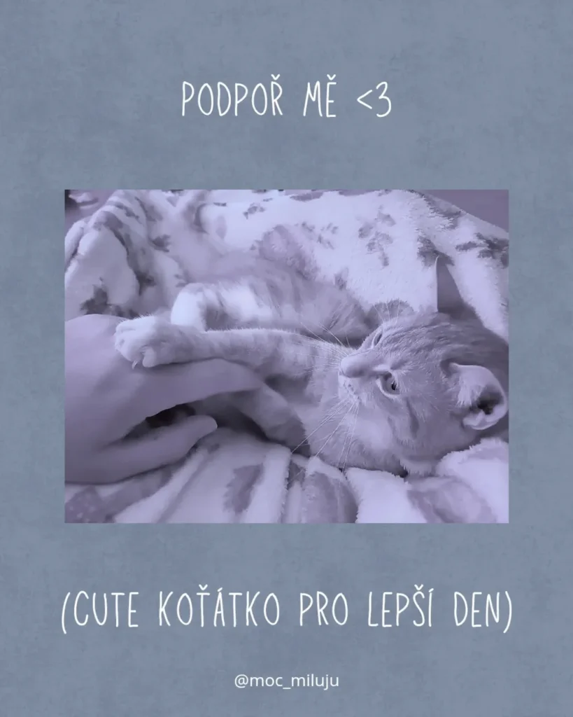 Slide 10