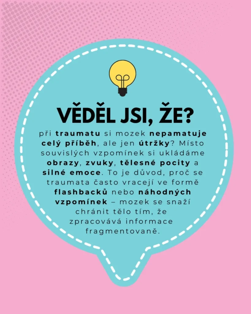 Náhled příspěvku Věděl jsi že? 12