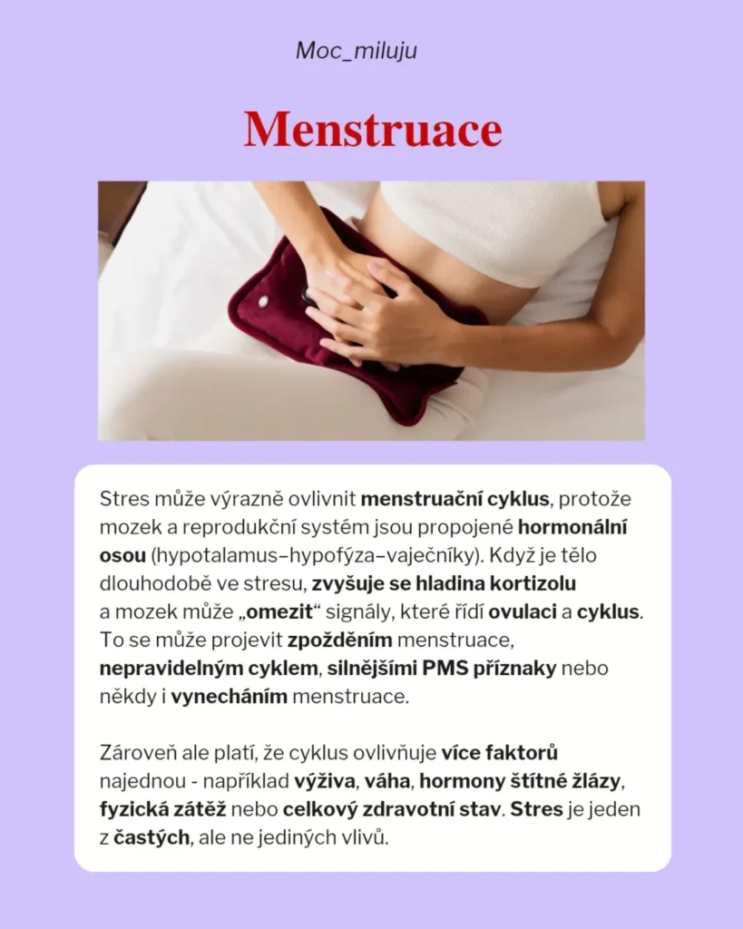 Slide 7