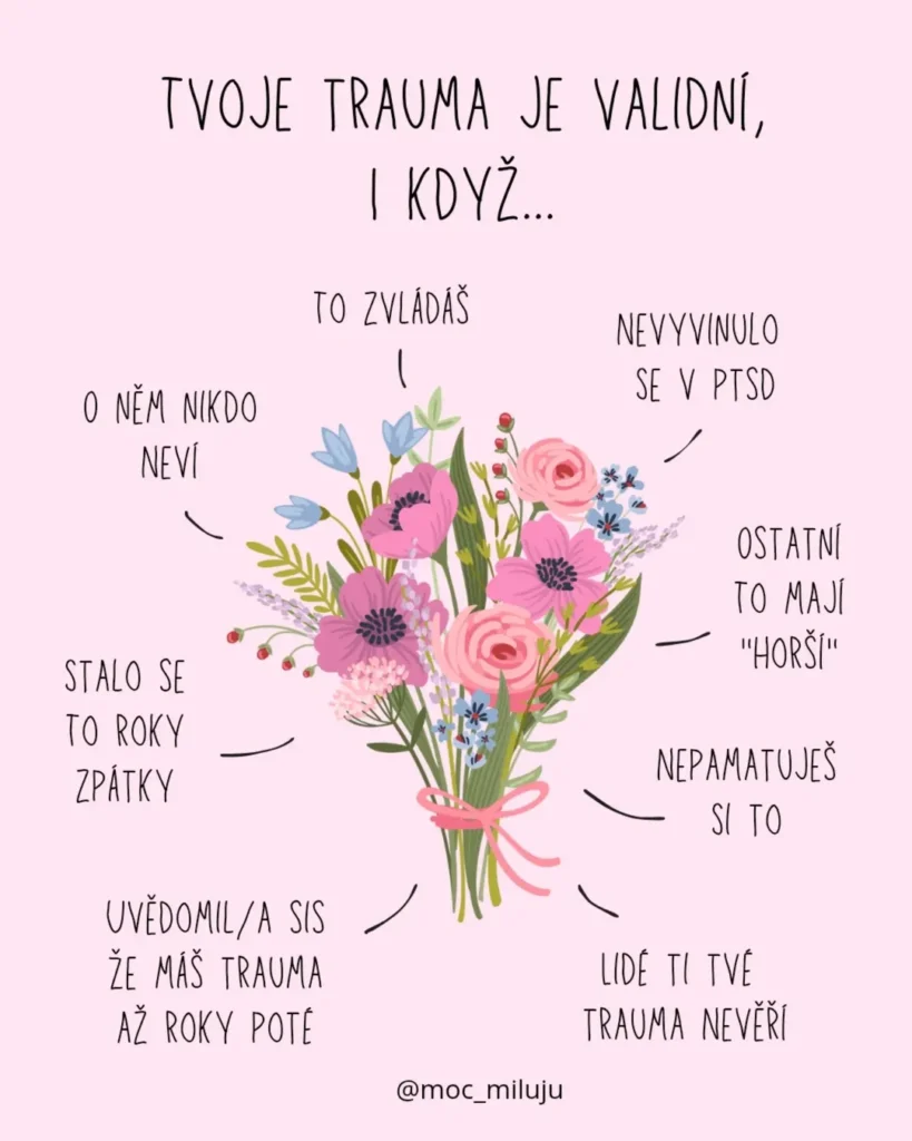 Náhled příspěvku Tvoje trauma je validní, i když…