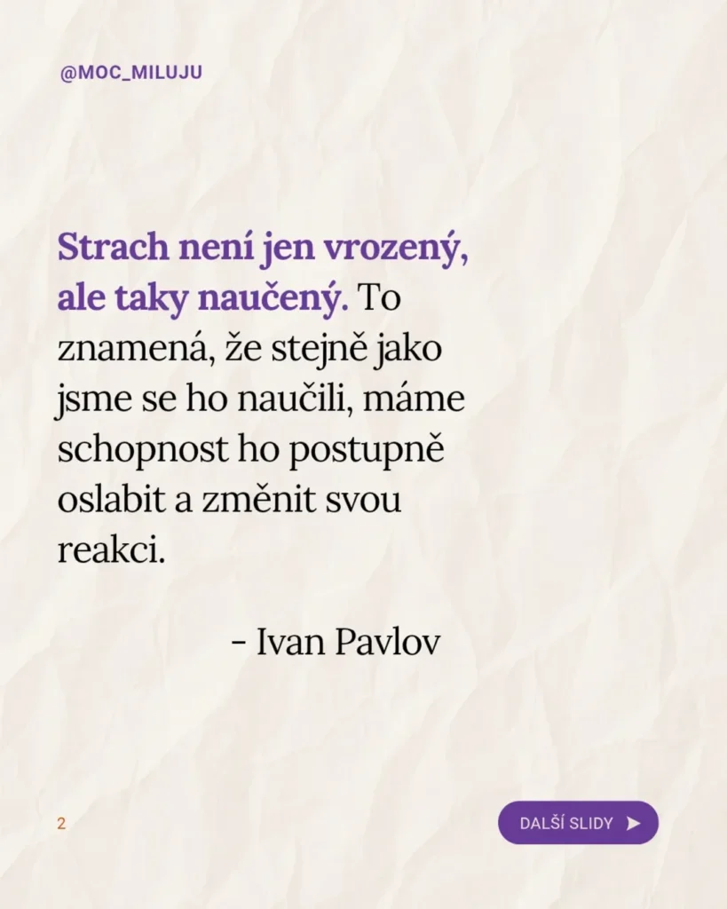 Slide 7