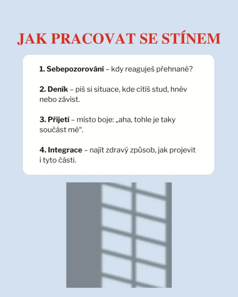 Slide 7