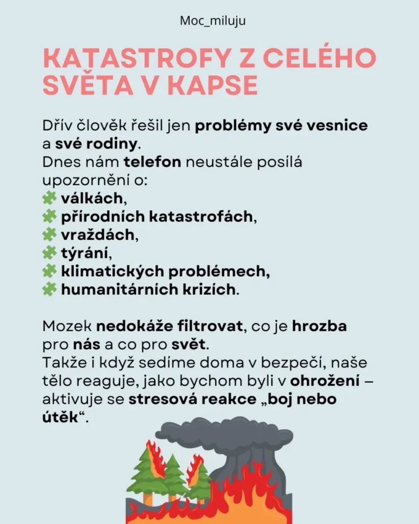Slide 7