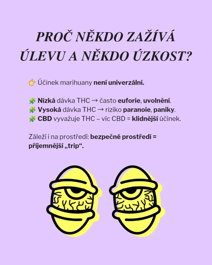 Slide 7