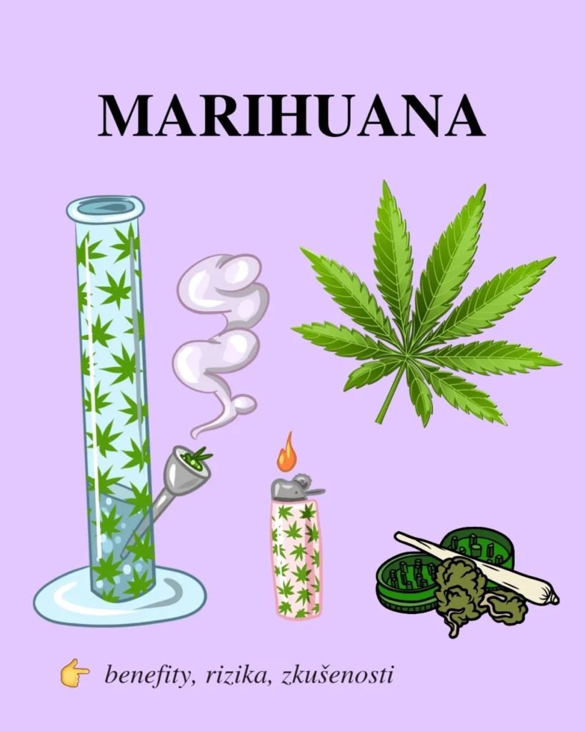 Náhled příspěvku Marihuana