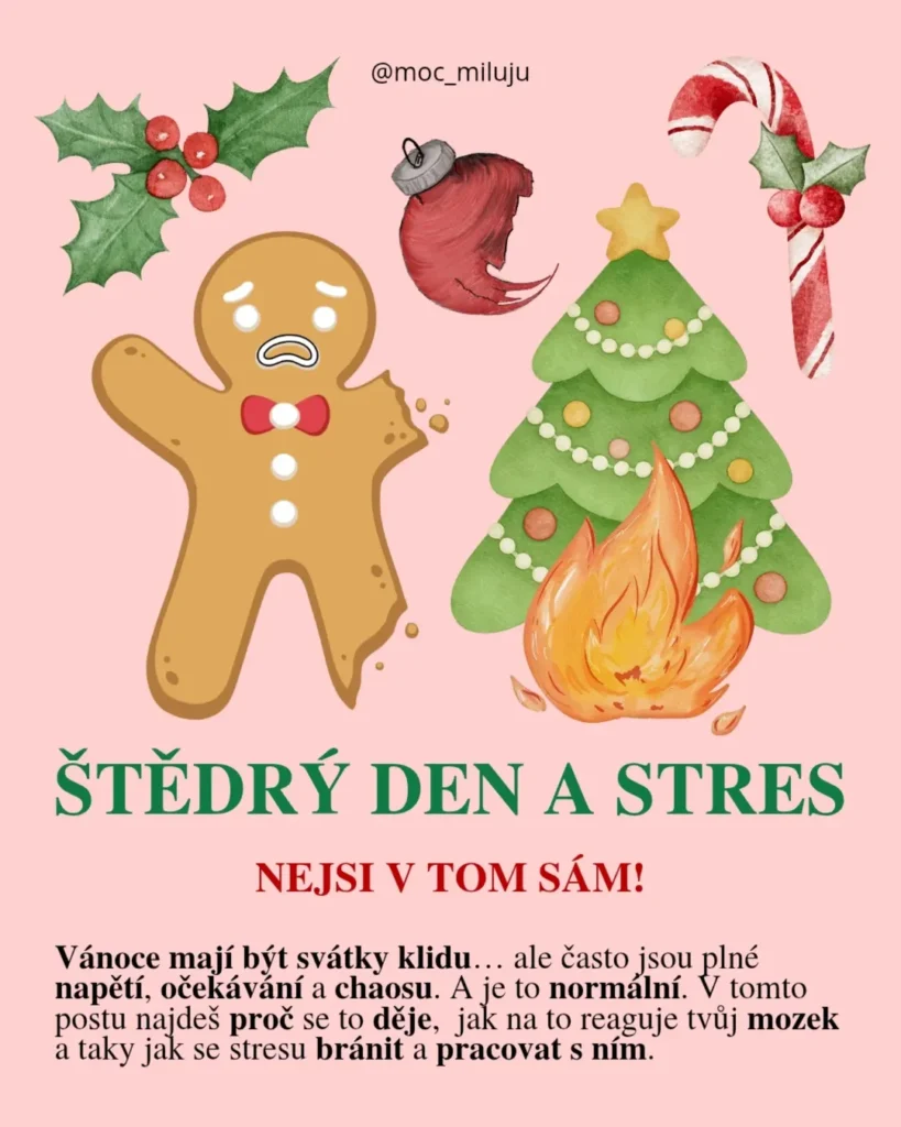 Náhled příspěvku Štědrý den a stres