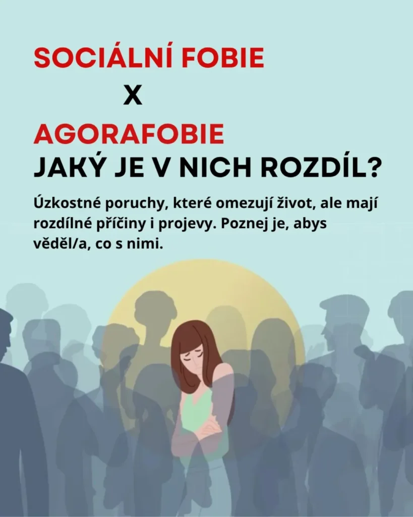 Náhled příspěvku Sociální fobie vs agorafobie