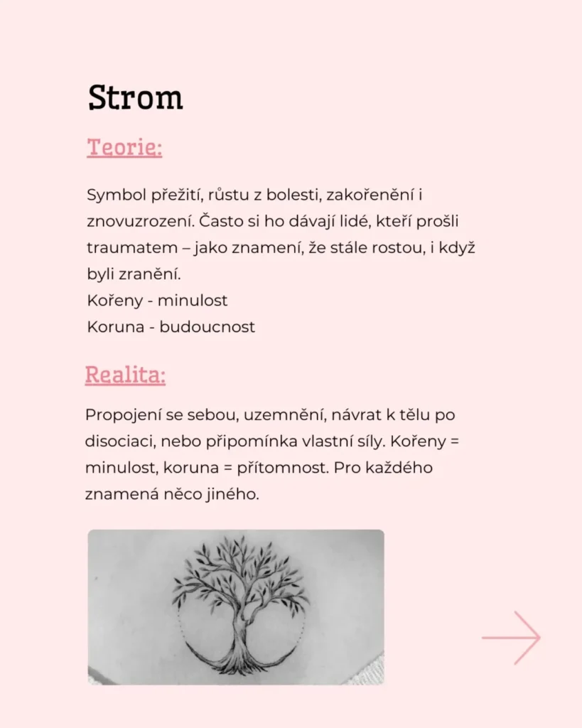 Slide 8