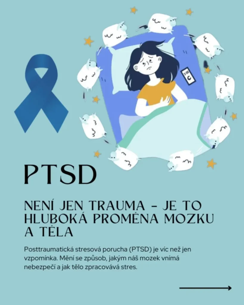 Náhled příspěvku PTSD