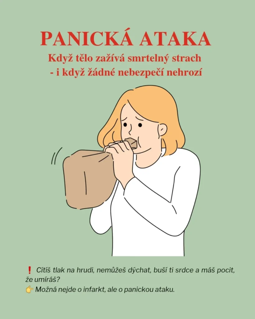 Náhled příspěvku Panická ataka