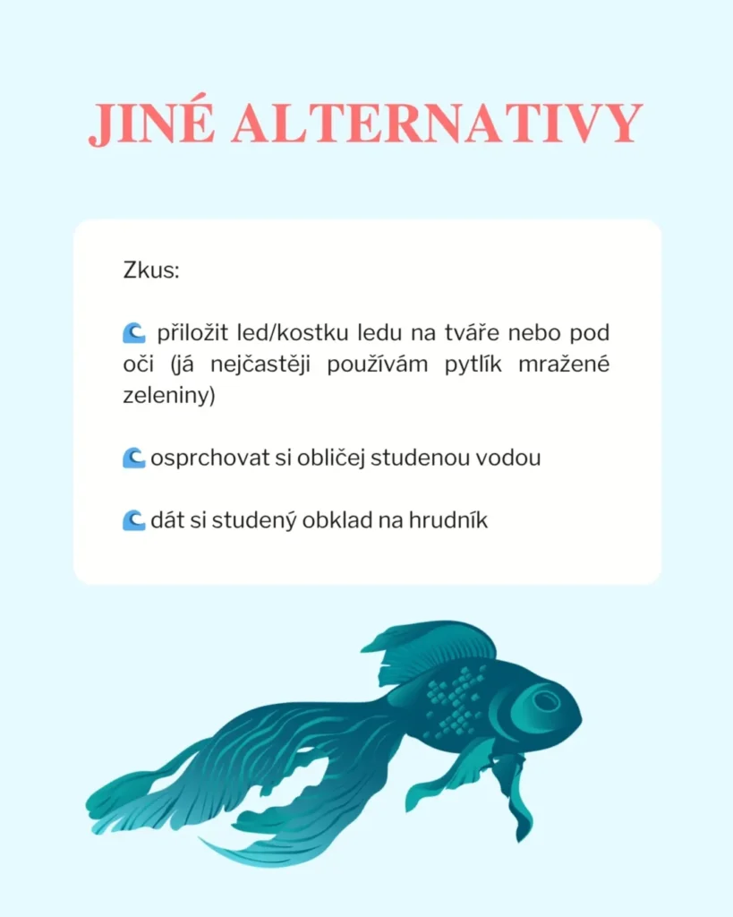 Slide 7