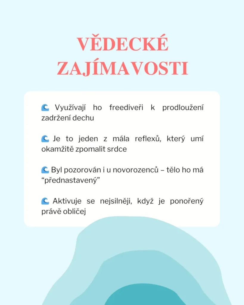 Slide 9