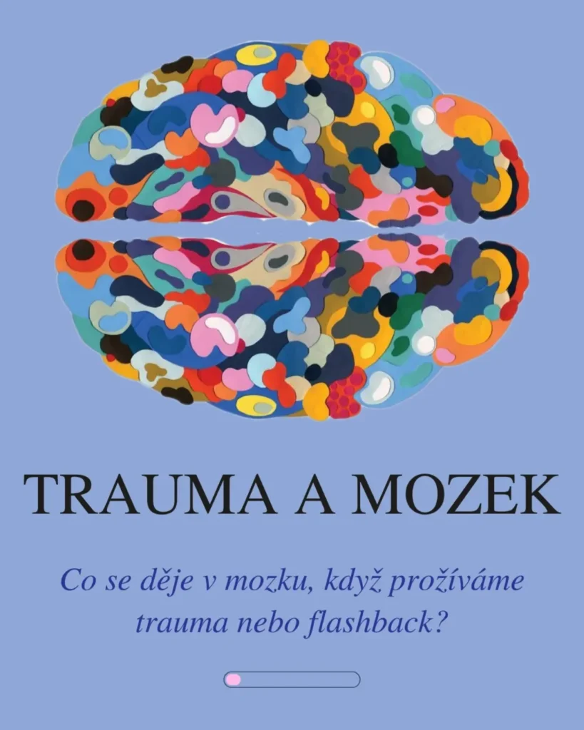 Náhled příspěvku Trauma a mozek