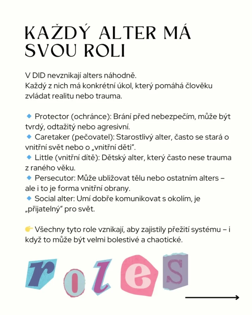 Slide 8