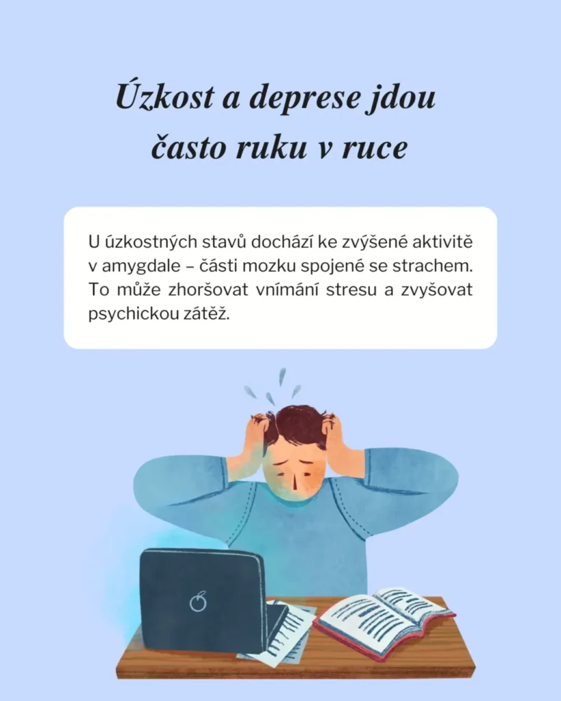Slide 6