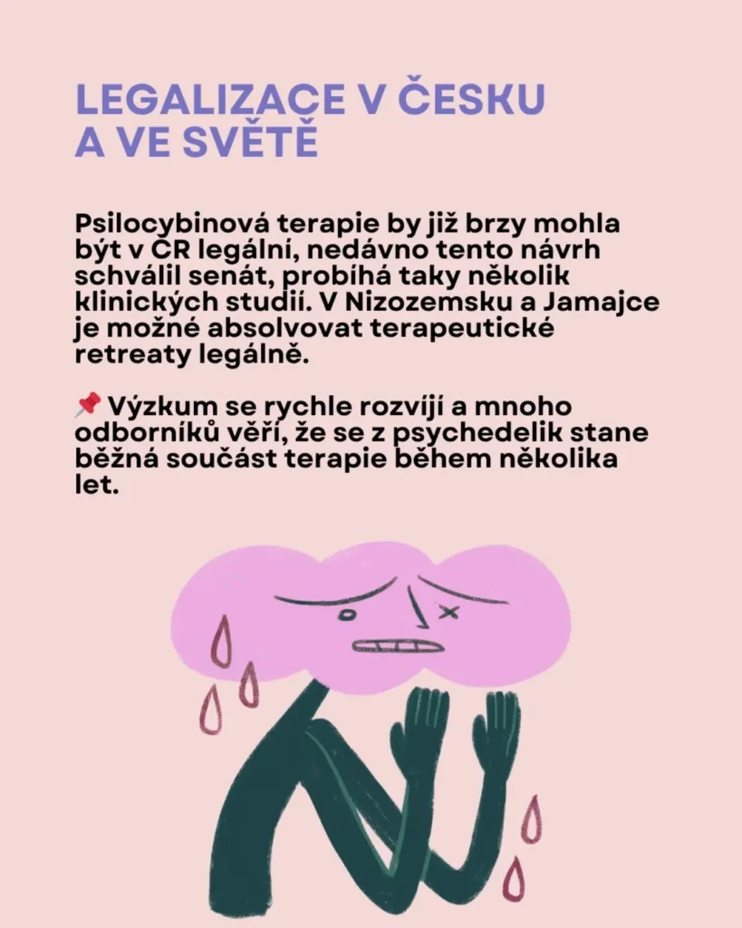 Slide 9