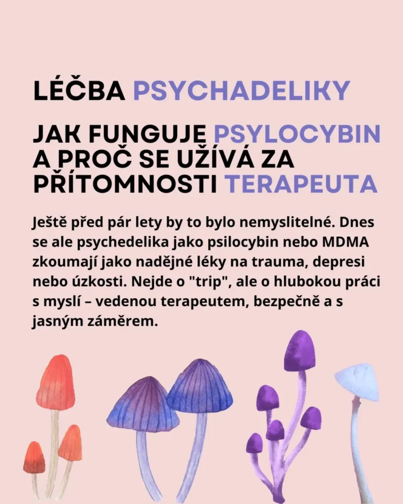 Náhled příspěvku Léčba psychadeliky