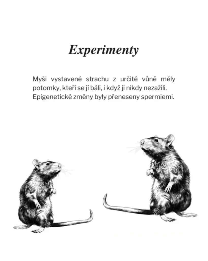 Slide 7