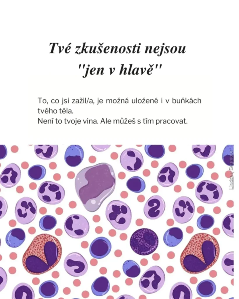 Slide 9